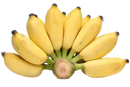 กล้วยน้ำว้า