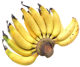 กล้วยเล็บมือนาง