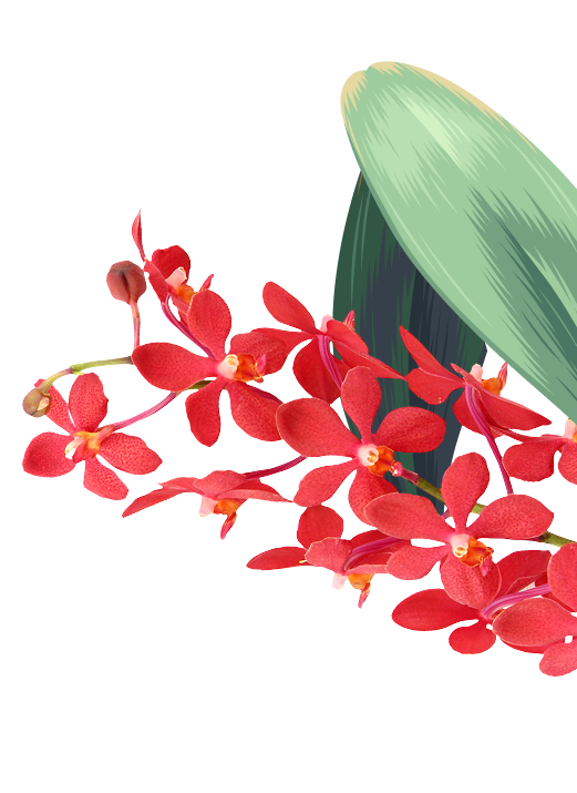 orchid