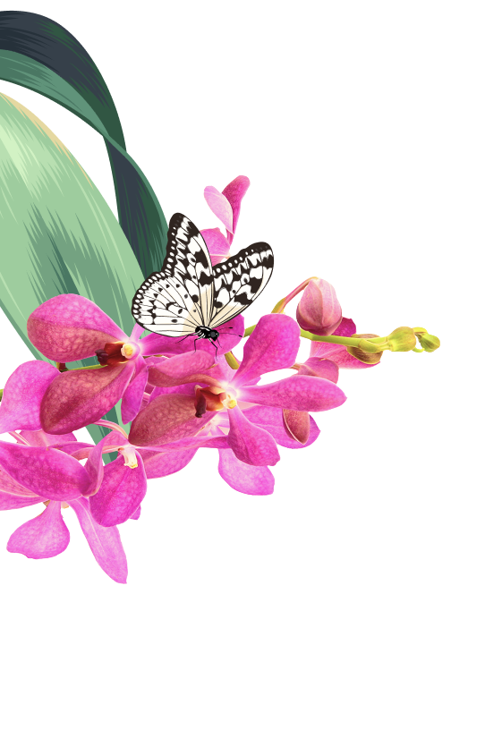orchid