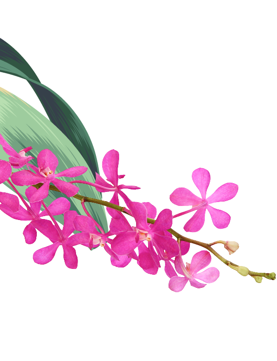orchid