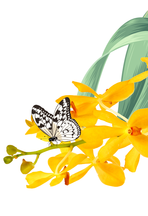 orchid
